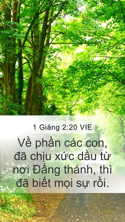 1 Giăng 2:20 VIE Bible Verse Image