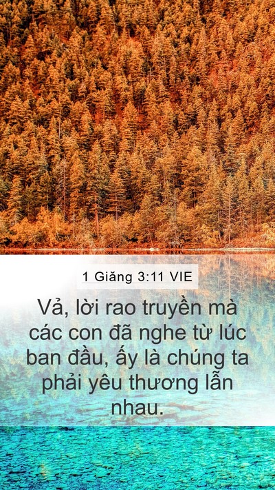 1 Giăng 3:11 VIE Bible Verse Image