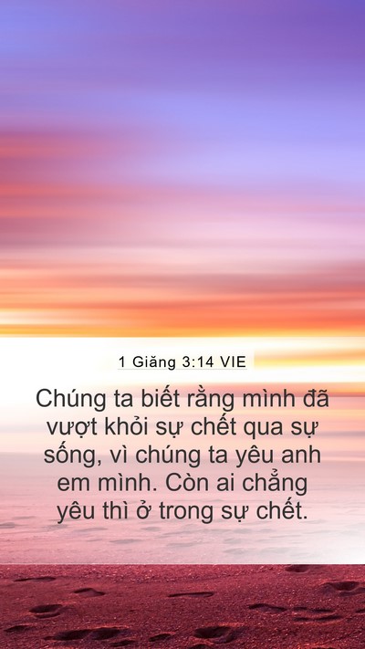 1 Giăng 3:14 VIE Bible Verse Image