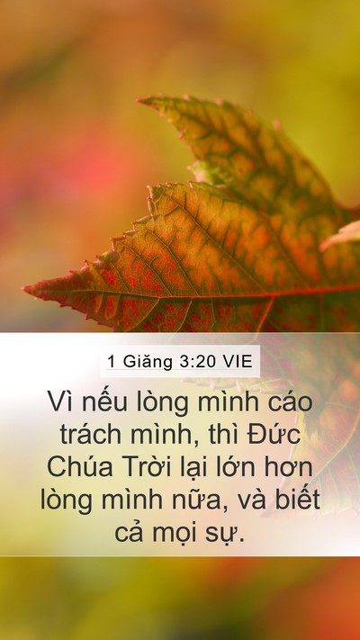 1 Giăng 3:20 VIE Bible Verse Image