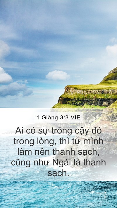 1 Giăng 3:3 VIE Bible Verse Image