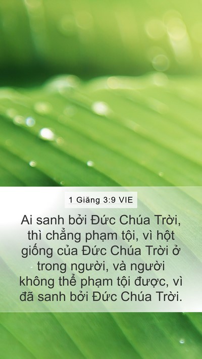 1 Giăng 3:9 VIE Bible Verse Image