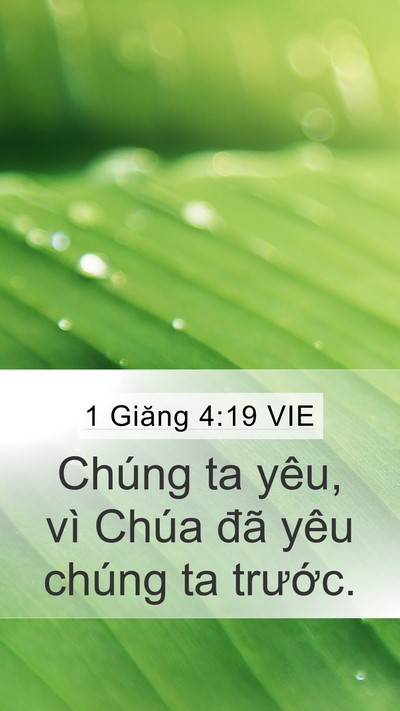 1 Giăng 4:19 VIE Bible Verse Image