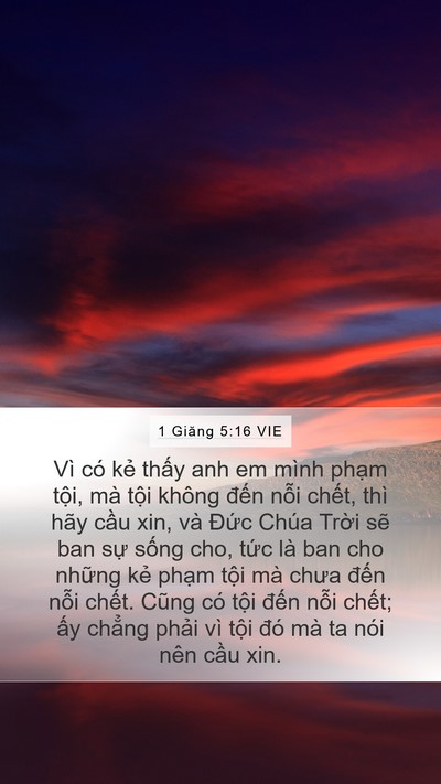 1 Giăng 5:16 VIE Bible Verse Image