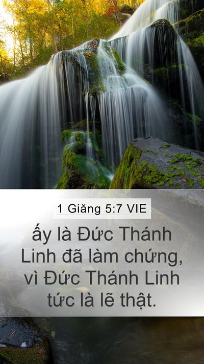 1 Giăng 5:7 VIE Bible Verse Image