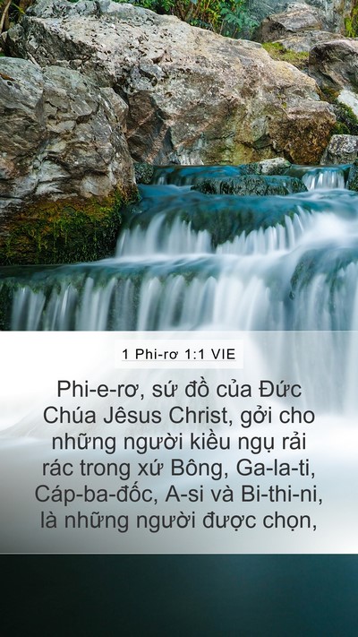 1 Phi-rơ 1:1 VIE Mobile Phone Wallpaper - Phi-e-rơ, sứ đồ của Đức Chúa Jêsus - Mobile Bible Verse Wallpaper