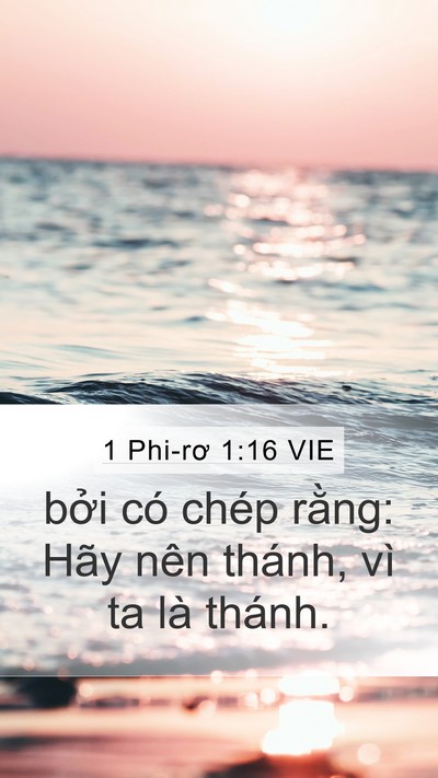 1 Phi-rơ 1:16 VIE Mobile Phone Wallpaper - bởi có chép rằng: Hãy nên thánh, vì ta - Mobile Bible Verse Wallpaper
