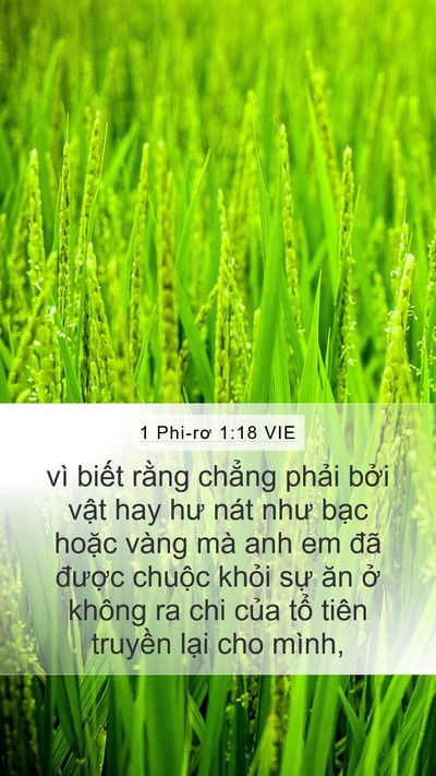 1 Phi-rơ 1:18 VIE Bible Verse Image