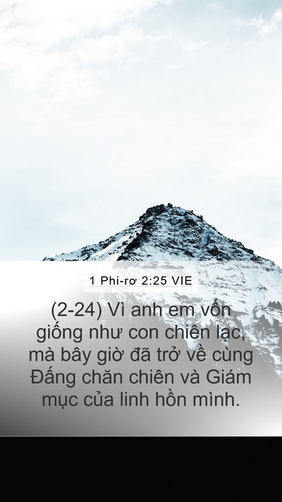 1 Phi-rơ 2:25 VIE Bible Verse Image