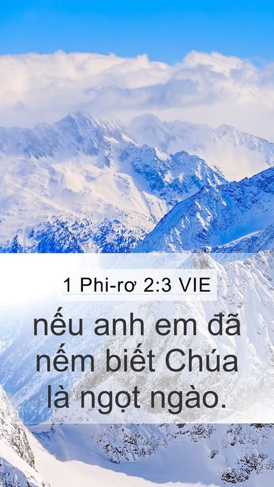 1 Phi-rơ 2:3 VIE Bible Verse Image