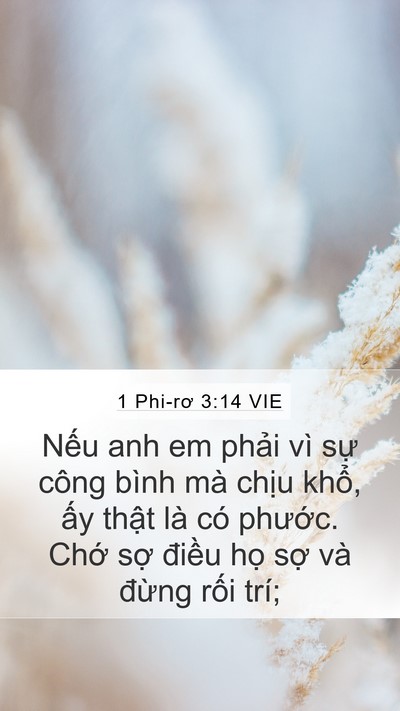 1 Phi-rơ 3:14 VIE Bible Verse Image