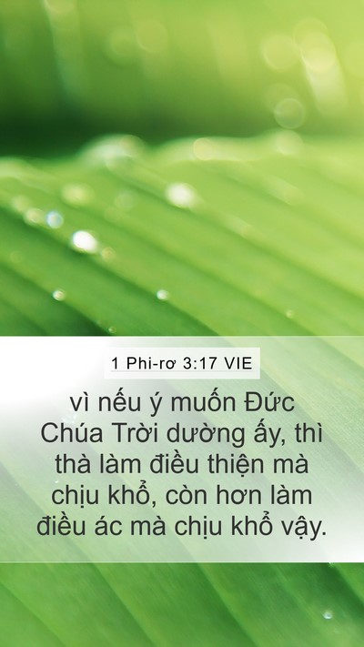 1 Phi-rơ 3:17 VIE Bible Verse Image