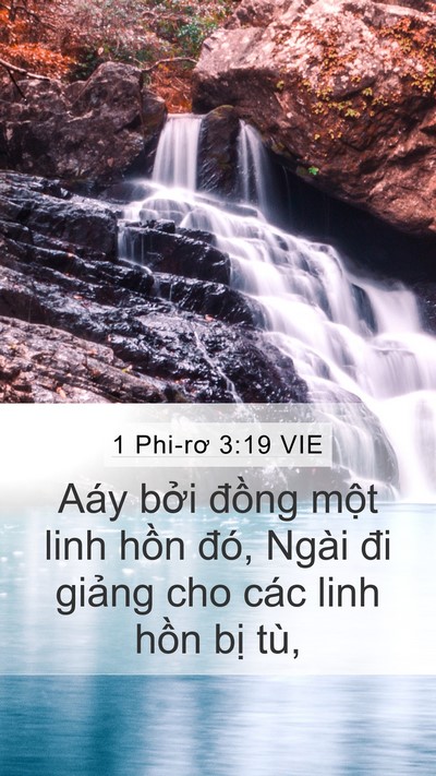 1 Phi-rơ 3:19 VIE Bible Verse Image
