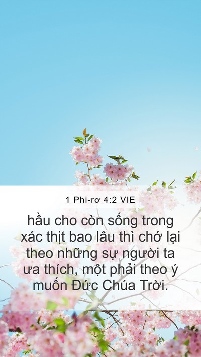 1 Phi-rơ 4:2 VIE Bible Verse Image
