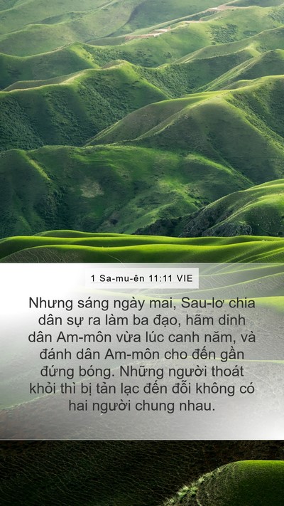 1 Sa-mu-ên 11:11 VIE Bible Verse Image