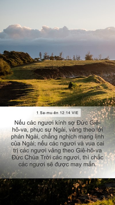 1 Sa-mu-ên 12:14 VIE Bible Verse Image