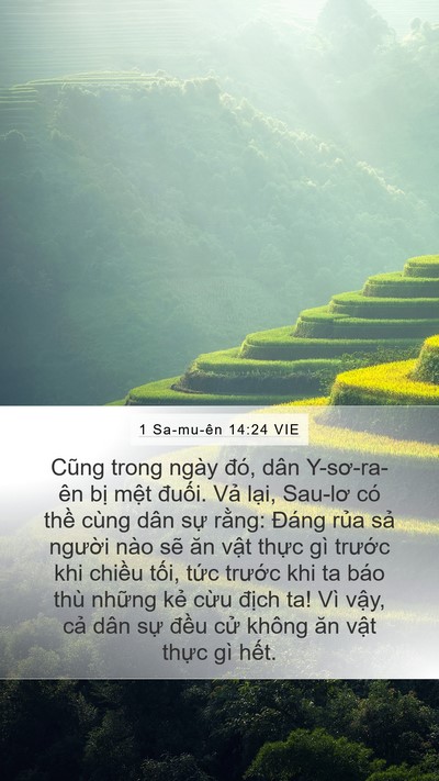 1 Sa-mu-ên 14:24 VIE Bible Verse Image