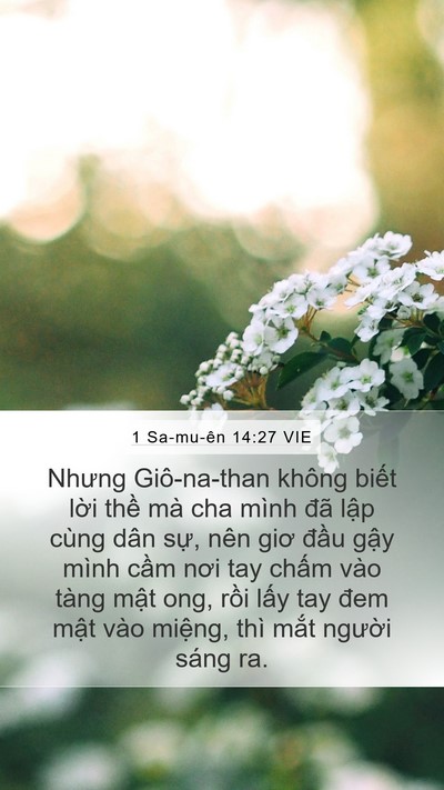 1 Sa-mu-ên 14:27 VIE Bible Verse Image