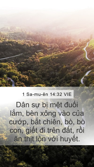 1 Sa-mu-ên 14:32 VIE Bible Verse Image