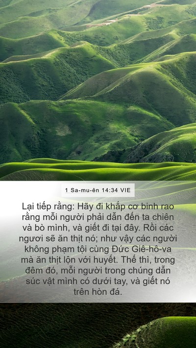 1 Sa-mu-ên 14:34 VIE Mobile Phone Wallpaper - Lại tiếp rằng: Hãy đi khắp cơ binh rao - Mobile Bible Verse Wallpaper