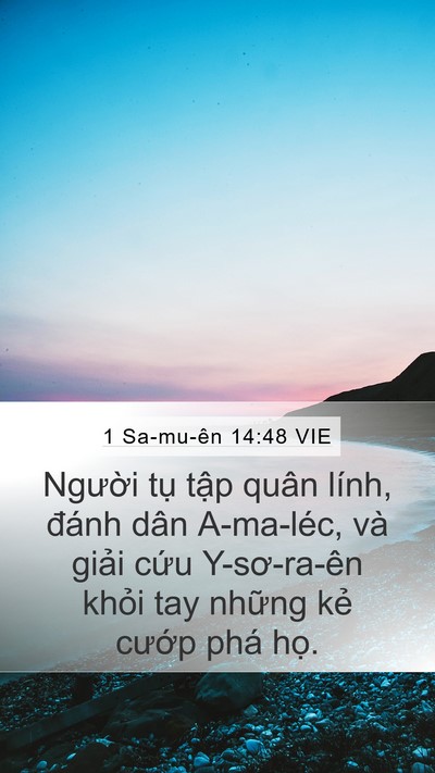 1 Sa-mu-ên 14:48 VIE Bible Verse Image