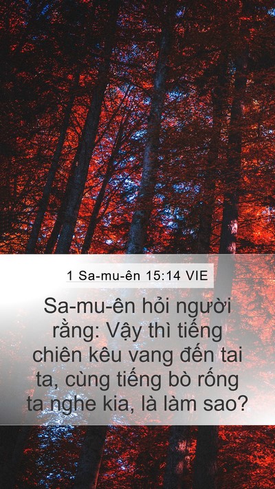 1 Sa-mu-ên 15:14 VIE Mobile Phone Wallpaper - Sa-mu-ên hỏi người rằng: Vậy thì - Mobile Bible Verse Wallpaper