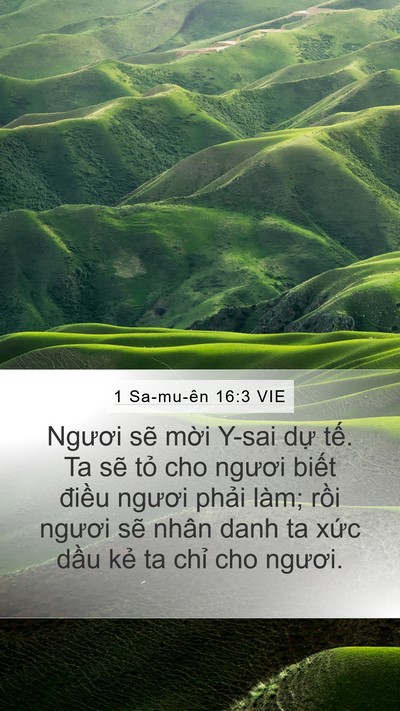 1 Sa-mu-ên 16:3 VIE Bible Verse Image