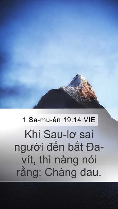 1 Sa-mu-ên 19:14 VIE Bible Verse Image