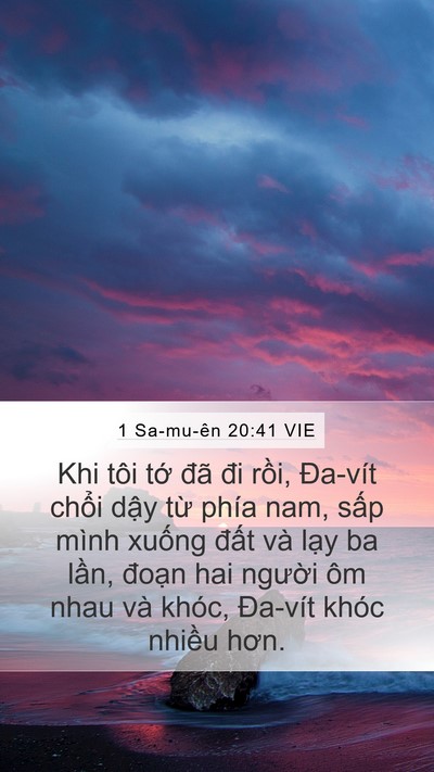 1 Sa-mu-ên 20:41 VIE Bible Verse Image