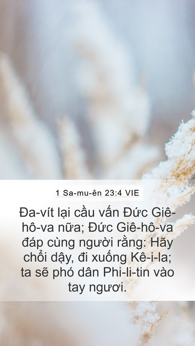 1 Sa-mu-ên 23:4 VIE Bible Verse Image
