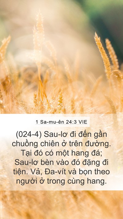 1 Sa-mu-ên 24:3 VIE Bible Verse Image