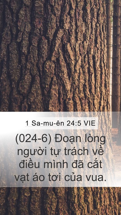 1 Sa-mu-ên 24:5 VIE Bible Verse Image