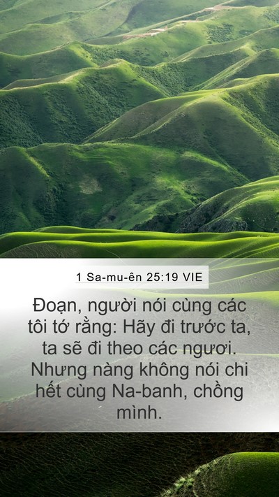 1 Sa-mu-ên 25:19 VIE Bible Verse Image