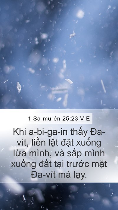 1 Sa-mu-ên 25:23 VIE Bible Verse Image