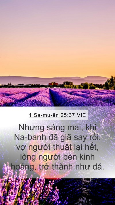 1 Sa-mu-ên 25:37 VIE Bible Verse Image