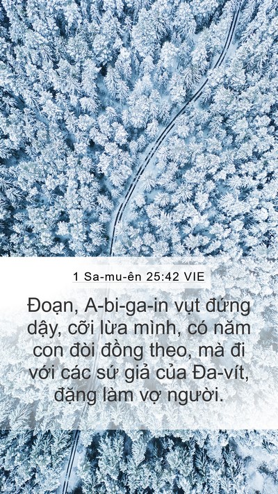 1 Sa-mu-ên 25:42 VIE Bible Verse Image