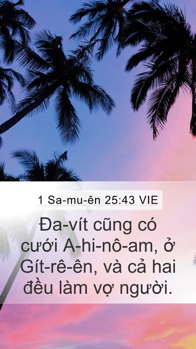 1 Sa-mu-ên 25:43 VIE Mobile Phone Wallpaper - Đa-vít cũng có cưới A-hi-nô-am, ở - Mobile Bible Verse Wallpaper