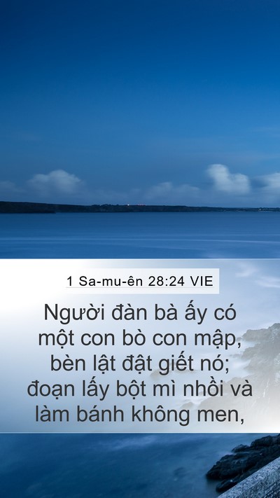 1 Sa-mu-ên 28:24 VIE Mobile Phone Wallpaper - Người đàn bà ấy có một con bò con - Mobile Bible Verse Wallpaper