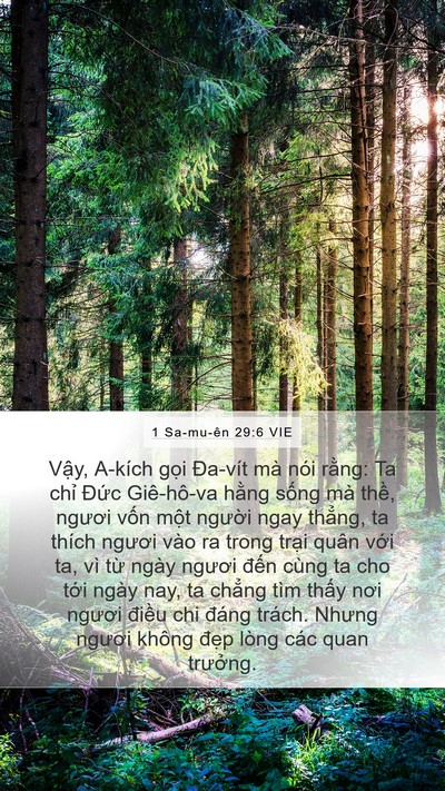 1 Sa-mu-ên 29:6 VIE Bible Verse Image