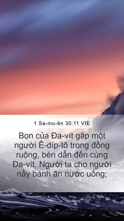 1 Sa-mu-ên 30:11 VIE Bible Verse Image