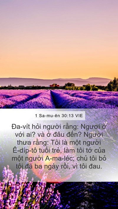 1 Sa-mu-ên 30:13 VIE Bible Verse Image