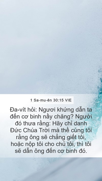 1 Sa-mu-ên 30:15 VIE Bible Verse Image