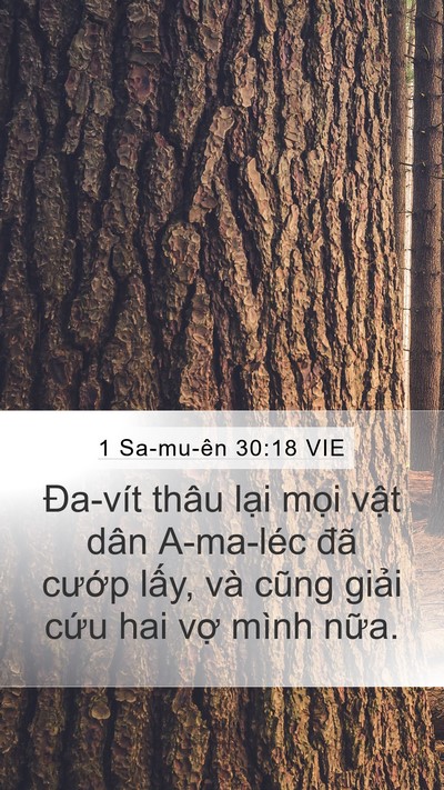 1 Sa-mu-ên 30:18 VIE Bible Verse Image