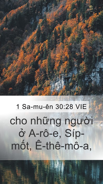 1 Sa-mu-ên 30:28 VIE Bible Verse Image
