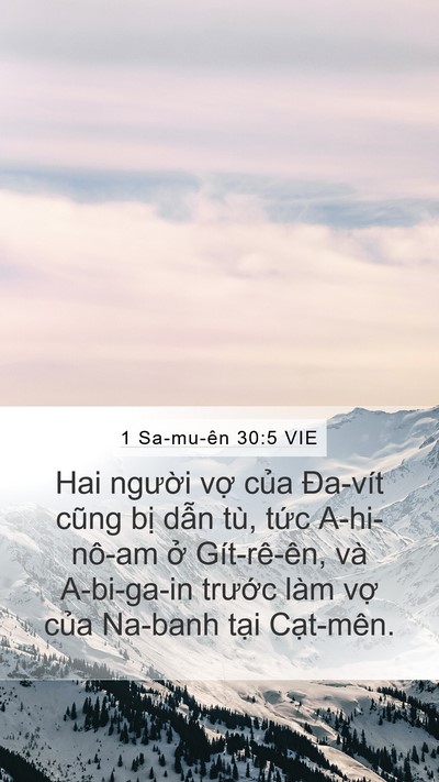 1 Sa-mu-ên 30:5 VIE Bible Verse Image