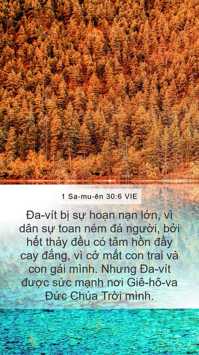 1 Sa-mu-ên 30:6 VIE Bible Verse Image