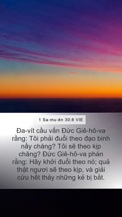 1 Sa-mu-ên 30:8 VIE Bible Verse Image