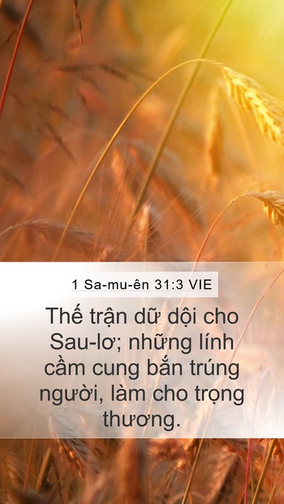 1 Sa-mu-ên 31:3 VIE Bible Verse Image