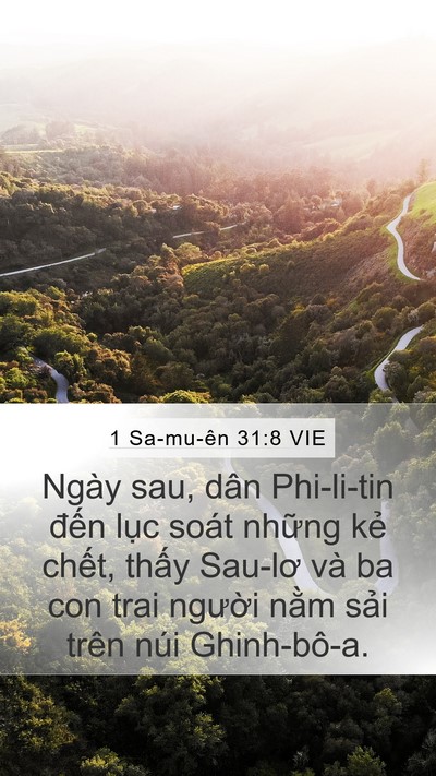 1 Sa-mu-ên 31:8 VIE Bible Verse Image