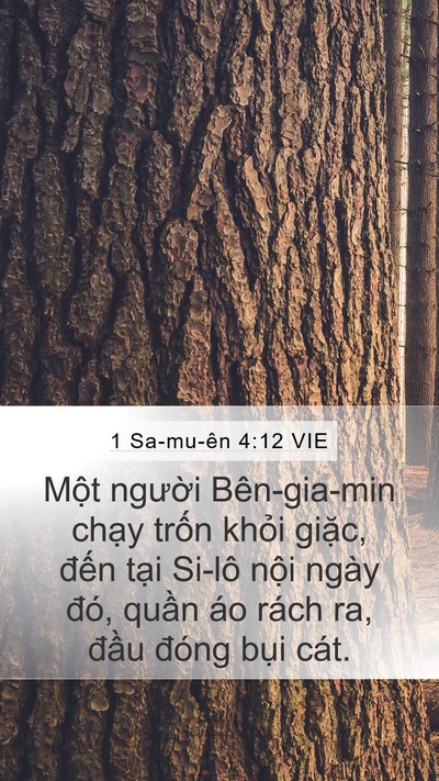 1 Sa-mu-ên 4:12 VIE Bible Verse Image